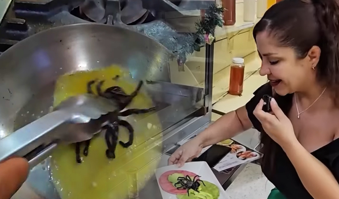 Conoce la exótica gastronomía mexicana: Platos a base de chapulines, tarántulas y más