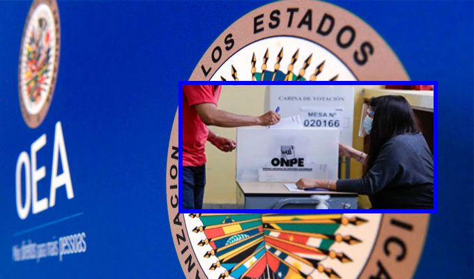 Elecciones 2026: OEA enviará observadores para vigilar los comicios en el Perú