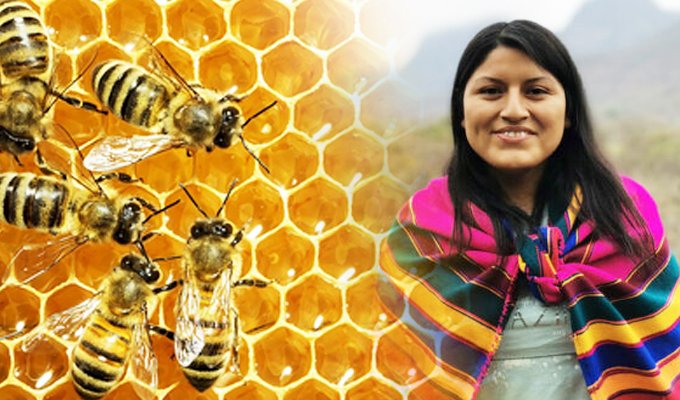 El modelo peruano de las “Guardianas de las abejas” se expande con éxito