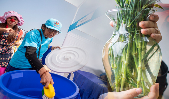 En temporada de lluvias: Evitar criaderos del mosquito transmisor del dengue en hogares