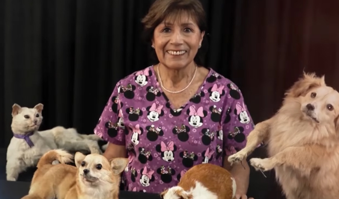 ¿Disecarías a tu mascota que falleció?: La Taxidermia serán una manera de mantenlo a tu lado