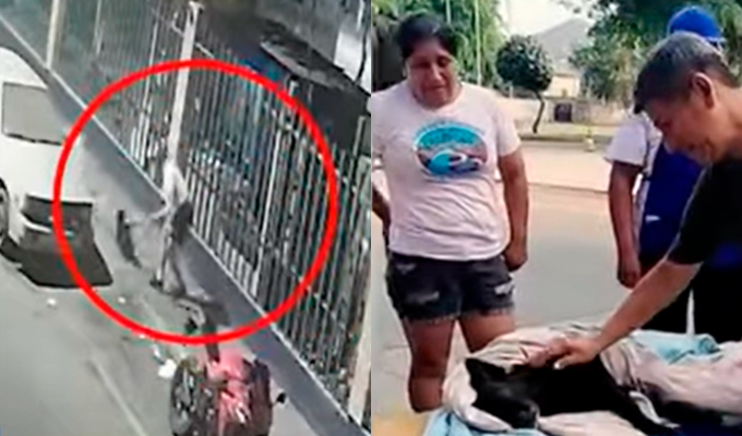 Indignación vecinal por ataque a perrita que era cuidada por animalistas en SMP