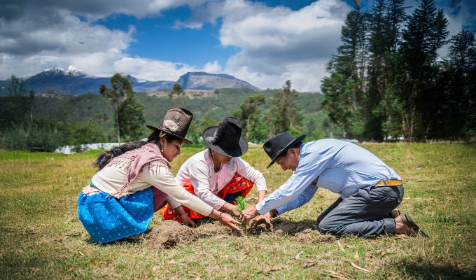 MIDAGRI impulsa reforestación con más de 15 millones de plantones forestales