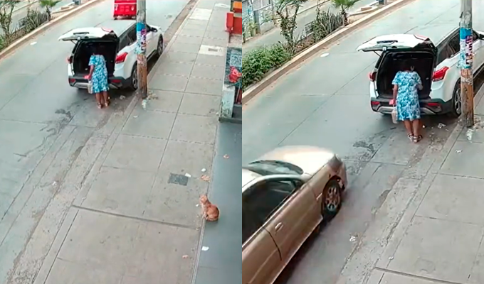 Villa El Salvador: mujer se salva de milagro tras choque mientras descargaba mercadería