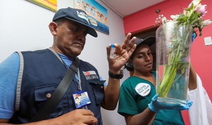 Minsa insta a familias a dedicar 10 minutos semanales para eliminar criaderos del dengue en casa