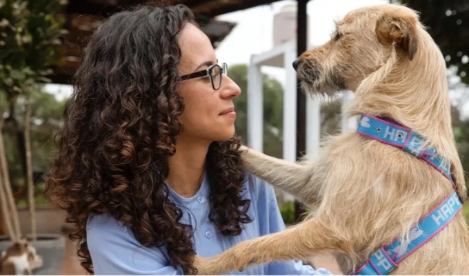 Desarrollan chip inteligente que permite ubicar y monitorear mascotas incluso sin internet