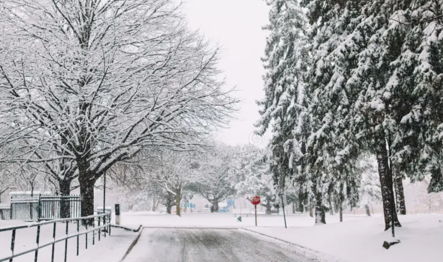 Canad&aacute;: Toronto paralizada por ca&iacute;da de 60 cent&iacute;metros de nieve