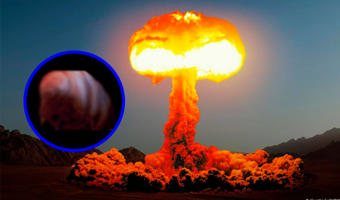 Este es el asombroso animal que sería el último ser vivo en sobrevivir sobre la Tierra