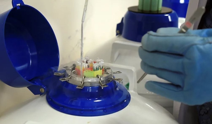 Detectan 42 compuestos químicos en el semen humano que podrían afectar la fertilidad