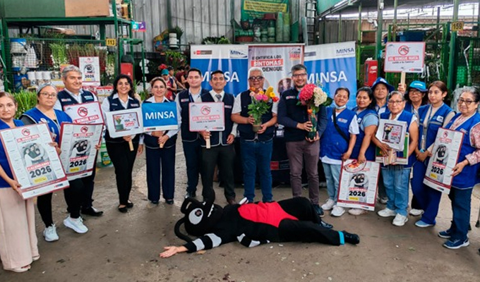 San Valentín sin dengue: Minsa alerta que floreros con agua pueden convertirse en criaderos del zancudo