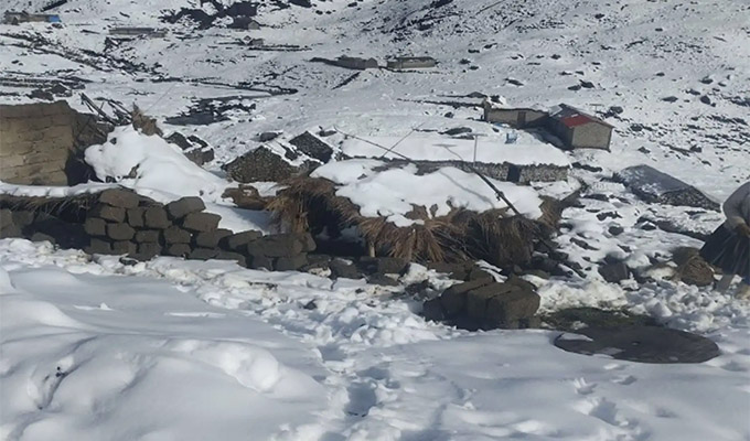 Cusco: viviendas, colegios, centros de salud y campos de cultivo afectados por intensa nevada