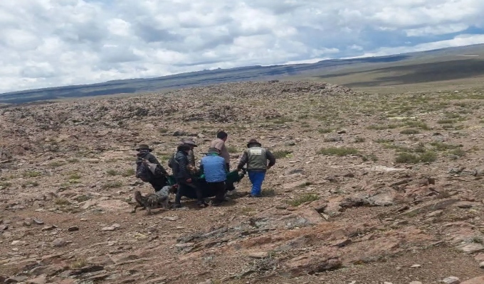 Ayacucho: adulto mayor fallece junto a su mascota y alpacas tras impacto de rayo