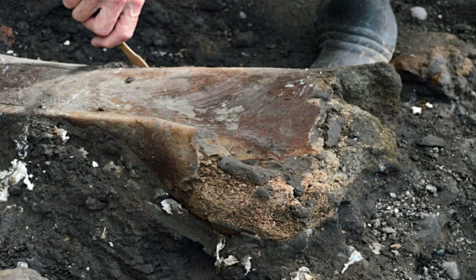 Costa Rica: hallan fósiles de perezoso gigante y mastodonte de al menos 10 mil años