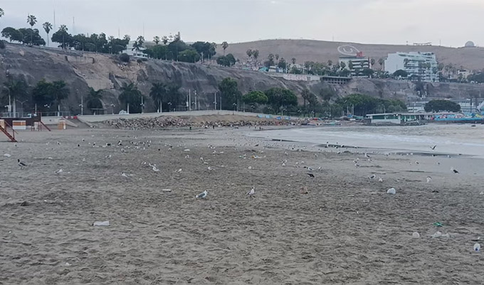 Alcalde de Chorrillos a la Defensoría del Pueblo por cierre de playa Agua Dulce: No es una acción arbitraria