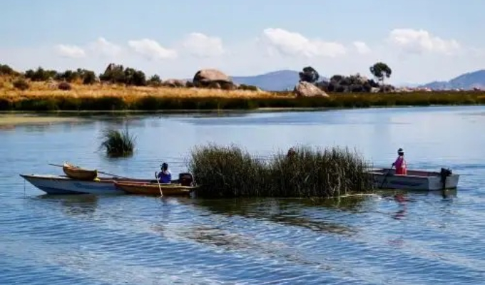 Lago Titicaca: revelan que falta de plantas de tratamiento y tuberías clandestinas agravan daño ambiental