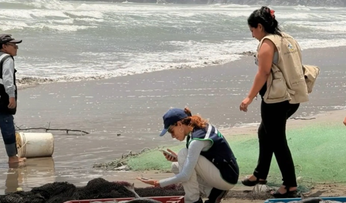 Áncash: detienen a siete hombres por presunta pesca ilegal en Casma