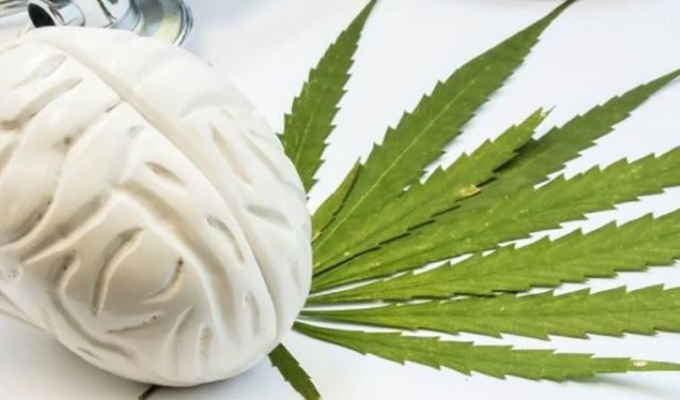 ¡Atención! Consumir cannabis en la adolescencia duplica el riesgo de psicosis y trastorno bipolar