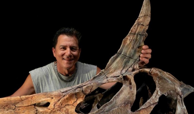 Hallan en el Sahara una nueva especie de Spinosaurus con cresta única