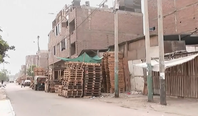 Invaden calles de El Agustino con parihuelas: vecinos denuncian que no pueden transitar con libertad