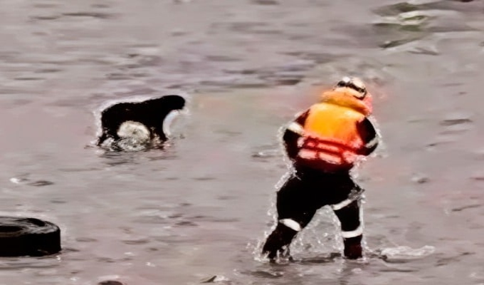 Surco inaugura albergue municipal de mascotas 'Patrick Ospina' en homenaje a suboficial fallecido