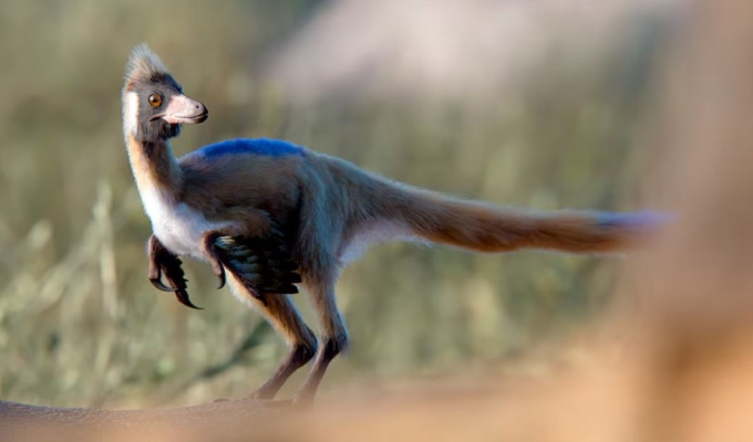 Descubren en Argentina dinosaurio de 95 millones de años: podría ser el “eslabón perdido”