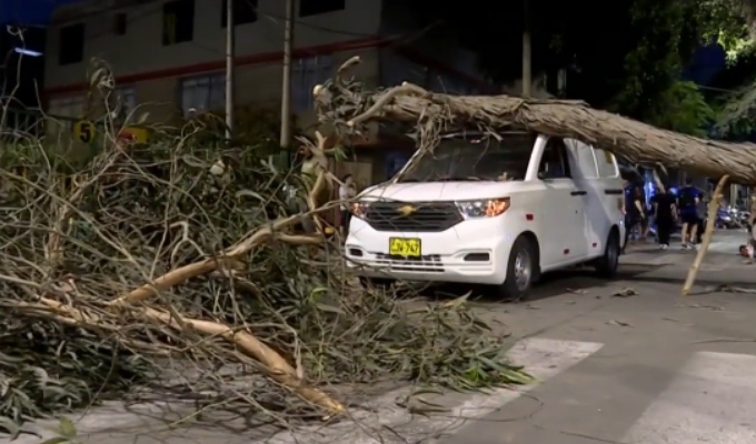La Victoria: enorme árbol cae sobre miniván en avenida Santa Catalina