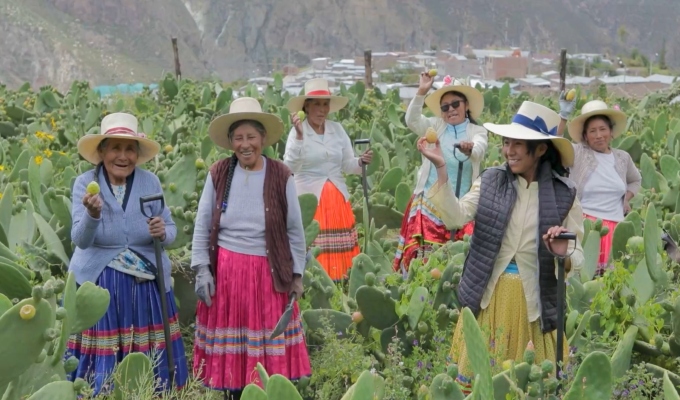 MIDAGRI inicia convocatoria para acceder a la Estrategia de Emprendimiento de la Mujer Rural e Indígena