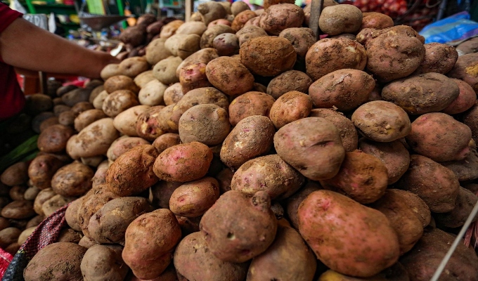 MIDAGRI: sector agropecuario inicia el año con un crecimiento de 4% en enero