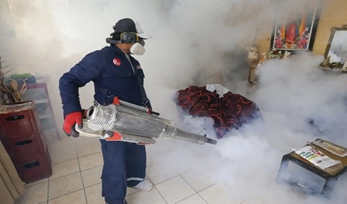 Piura: brigada del Minsa reforzará fumigación contra zancudo del dengue en Máncora y Los Órganos