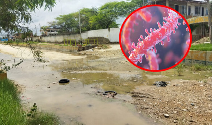 Leptospirosis en el norte del Perú: síntomas, contagio y zonas afectadas