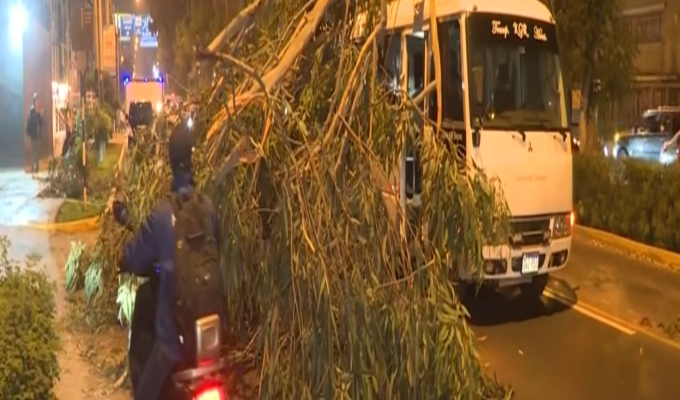 Árbol cae sobre vehículo de transporte turístico en Jesús María