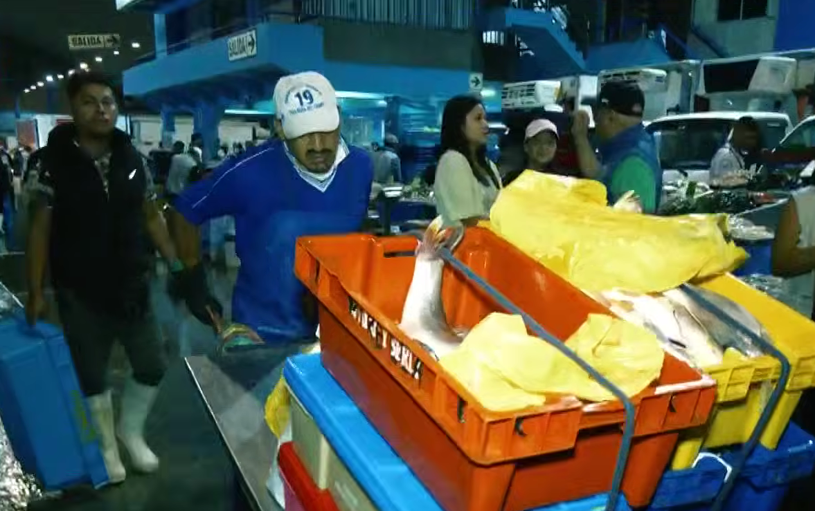 Los titanes de Semana Santa: así es el trabajo en el Terminal Pesquero de Villa María del Triunfo