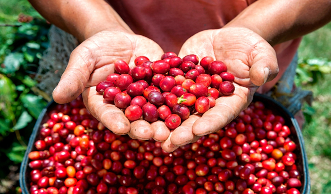 MIDAGRI: agroexportaciones superan los US$ 2220 millones en primer bimestre del año