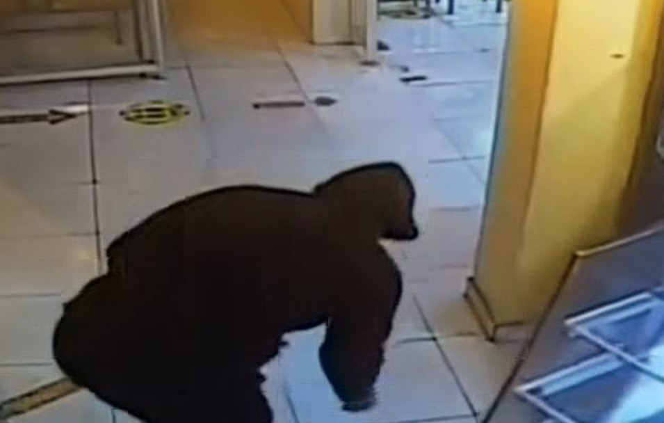 Callao: extorsionadores atentan contra panadería en La Perla