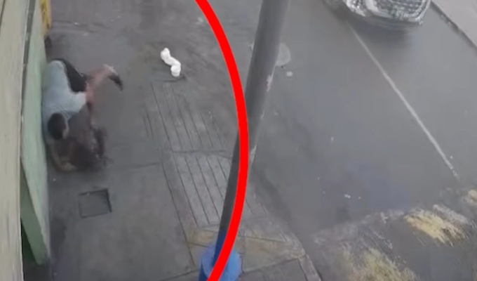 Hombre arriesga su vida para rescatar a perrita y conmueve en redes sociales