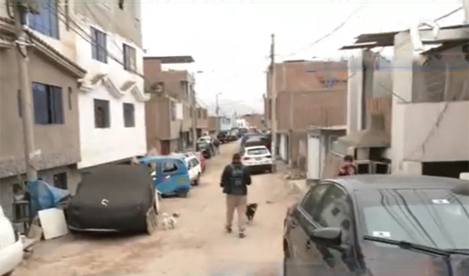 Operativo en Lima y provincias: capturan integrantes de red internacional de pornografía infantil