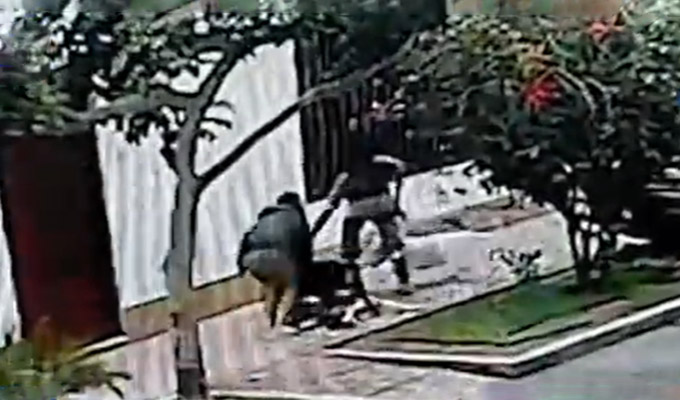 San Isidro: perro arranca dedo de joven que paseaba con su cachorro