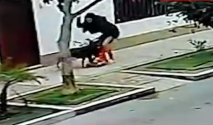 San Isidro: mujer resulta herida al intentar proteger a su mascota de ataque de un perro