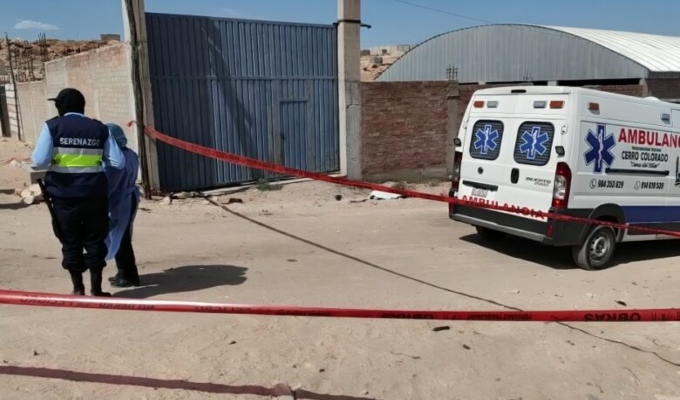 ¡Tragedia en Arequipa! Mujer murió tras brutal ataque de perros en plena vía pública
