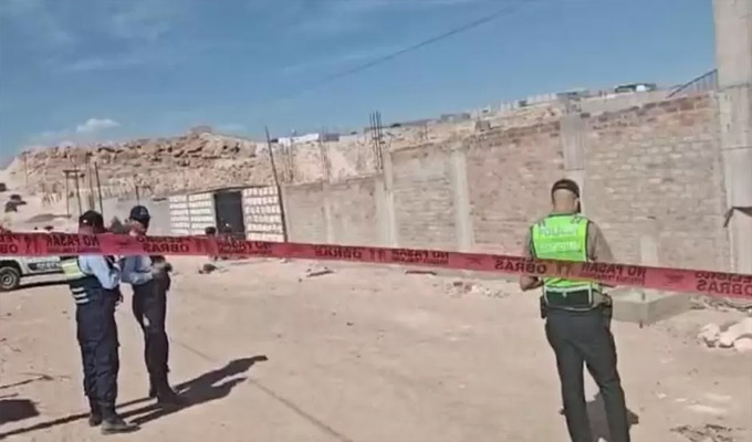 Perros atacan a anciana hasta matarla en Arequipa: piden sanción para dueños de los animales
