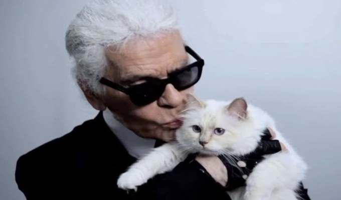 Choupette, la famosa gata de Karl Lagerfeld, aún espera la herencia que le atribuyeron tras la muerte del diseñador