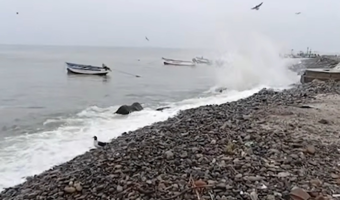 Oleajes anómalos en Pisco: mar en crecida genera alerta y restricciones en el litoral