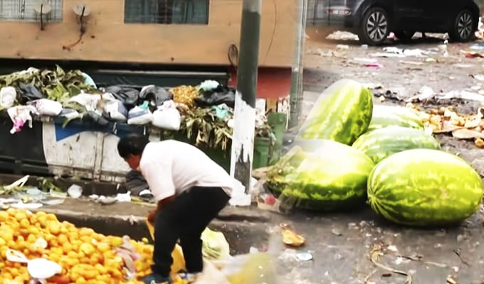 Miles de toneladas de alimentos terminan en la basura cada día en Perú
