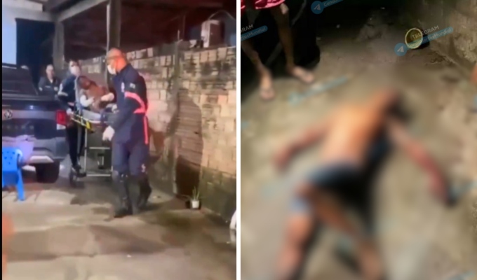 ¡Héroes de cuatro patas! Perritos atacan a ladrón y evitan robo en una vivienda