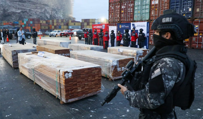 Incautan más de 100 toneladas de droga en Chile: estaba escondida en un cargamento de madera