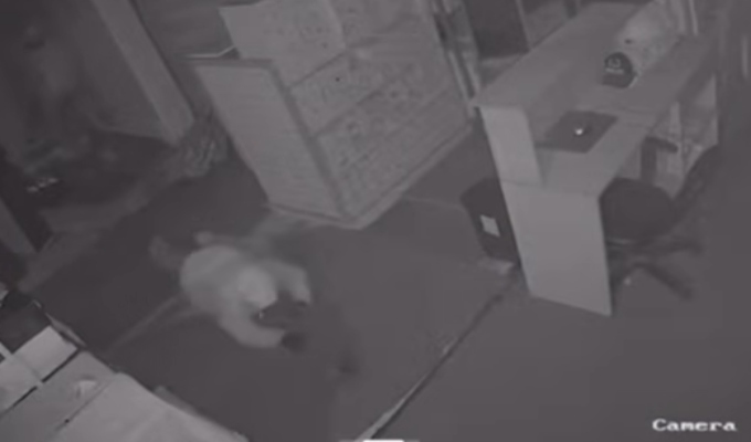 Delincuentes hacen forado en local y roban decenas de zapatillas en Ate