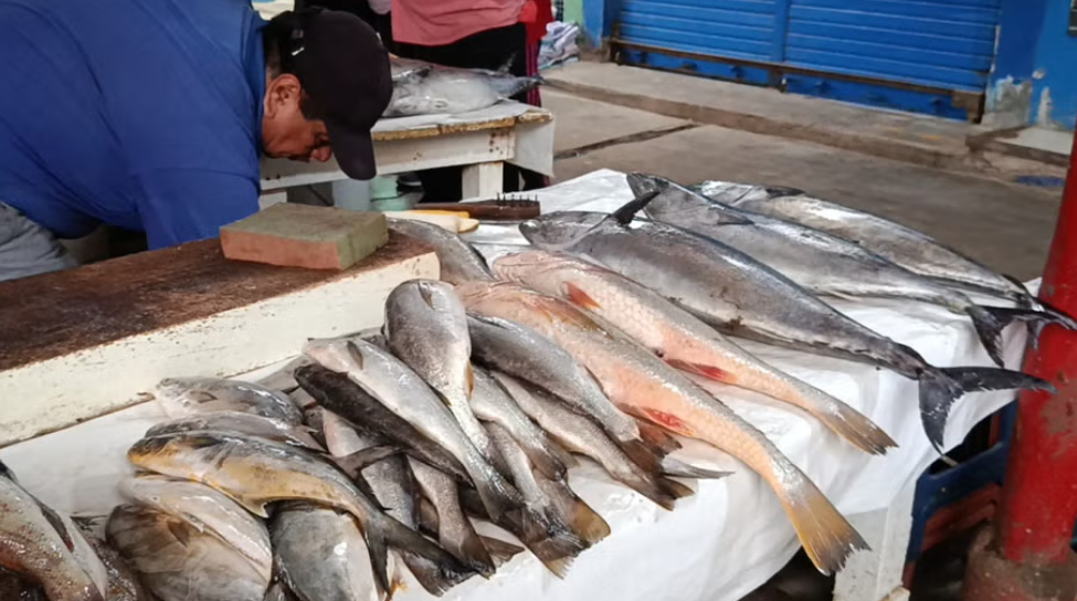 Escasez de pescado eleva el precio del bonito y otros recursos marinos