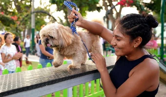 Uruguay propone otorgar un día de licencia laboral remunerada por la muerte de una mascota