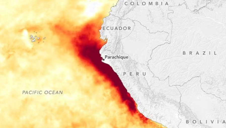 Calentamiento del mar peruano amenaza a la pesca y la agricultura pese al inicio del invierno