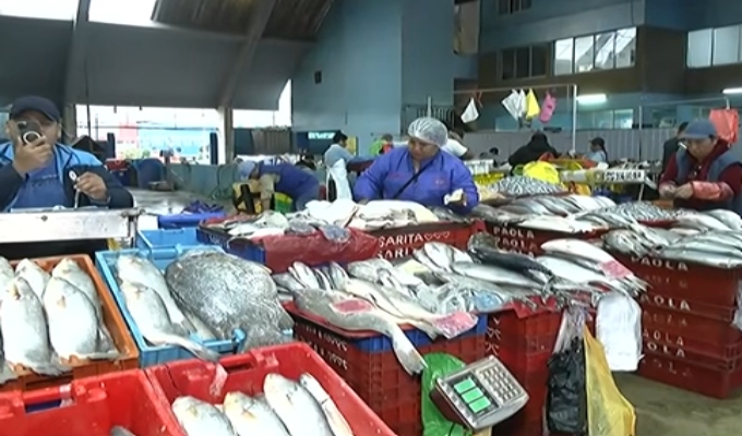 Pescado congelado gana espacio ante escasez de productos frescos en mercados